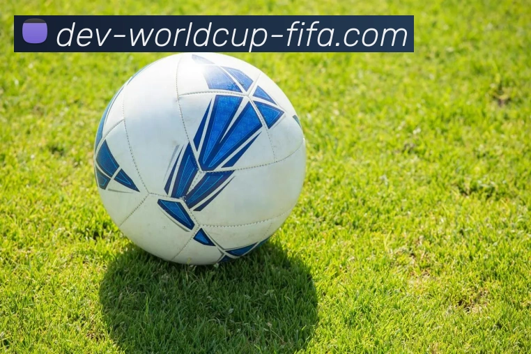 赛程平台生态图